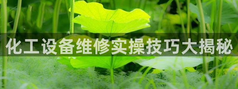美狮会赚钱平台是骗局吗是真的吗