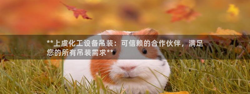 美狮贵宾快速充值中心客服电话