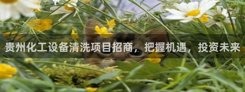 美狮会赚钱平台是骗局吗