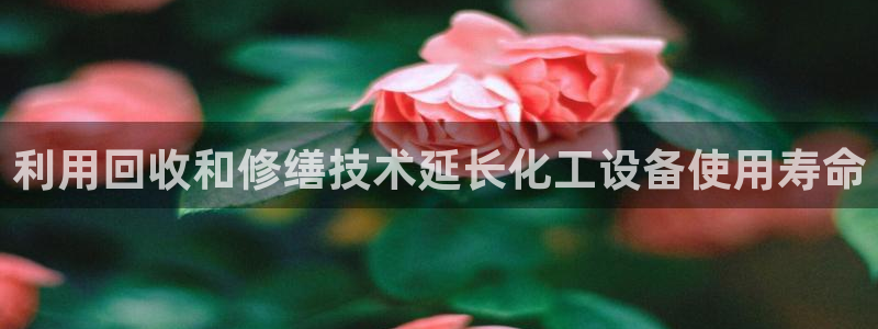 美狮图片
