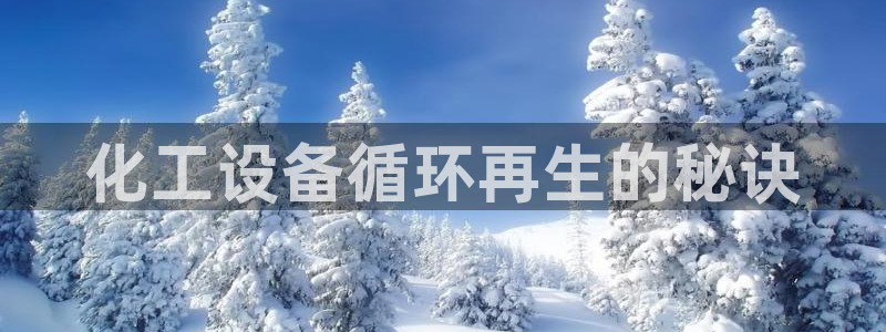 美狮集团董事长兼总经理