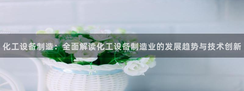 美国美狮集团