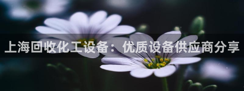 美狮贵宾会会员等级怎么看