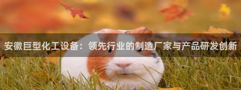 美狮贵宾厅