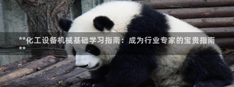 美狮贵宾会开了几年了没有