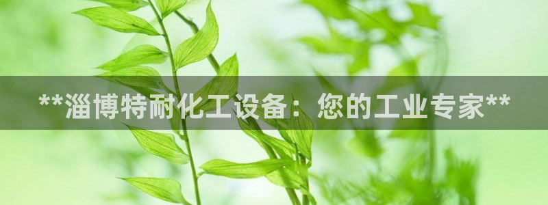 美狮贵宾会网页登陆