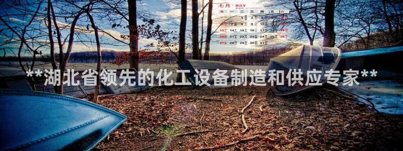 美狮国际控股集团