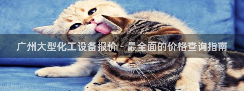 美狮贵宾会官网