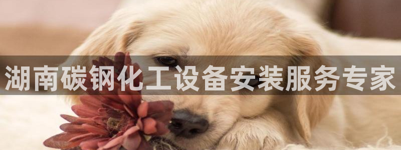 美狮会员卡等级怎么分