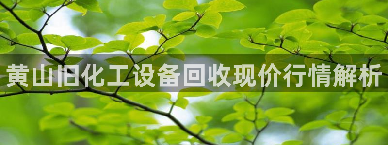 美狮贵宾会论坛