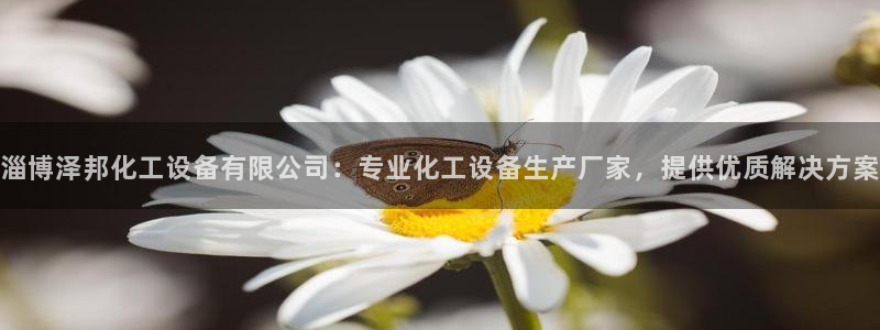 美狮科技有限公司