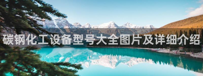 美狮贵宾会快充值中心