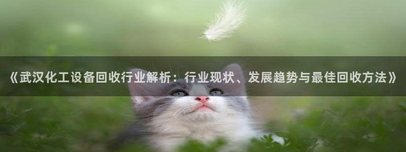 美狮贵宾会怎么不到了
