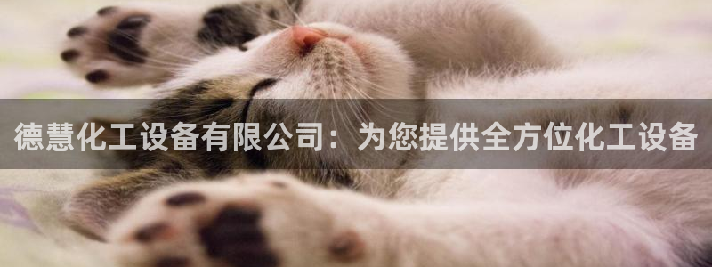 美狮会怎么样