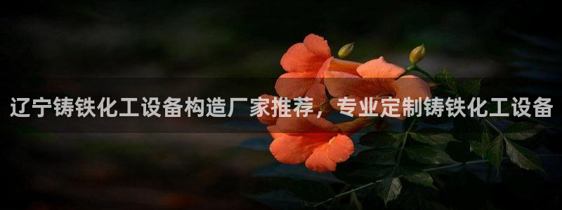 美狮集团财务部待遇