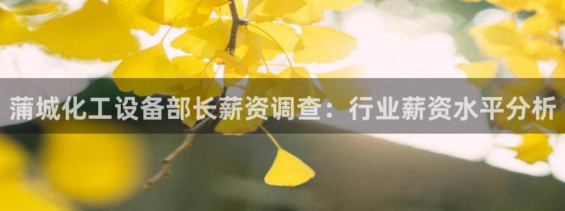 美狮贵宾会怎么不到了