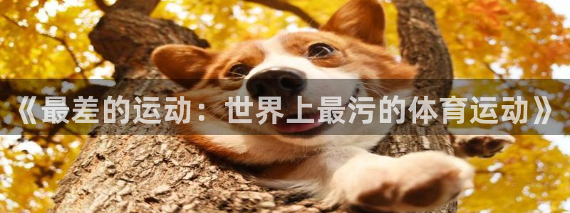 k1体育十年平台