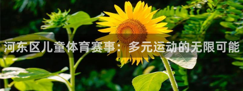 k1体育入口