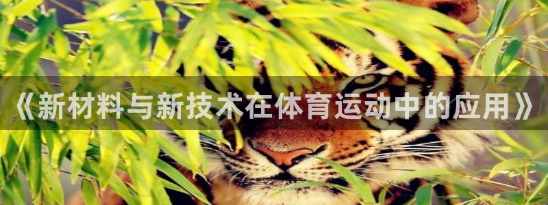 k1体育入口