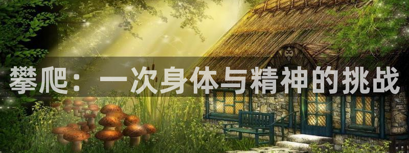 k1体育网址是多少