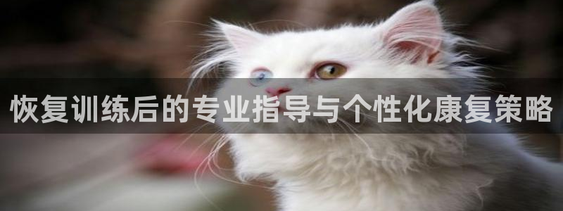 k1体育链接多少