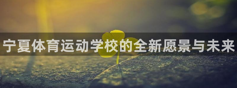 k1体育平台3915