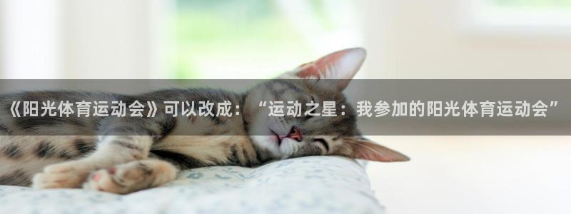 k1体育网址是多少