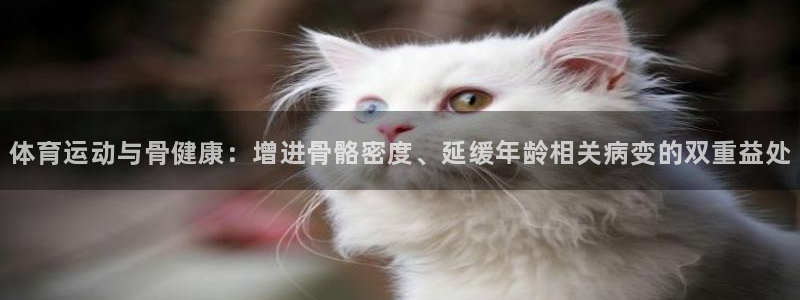 k1体育链接