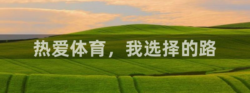 k1体育平台3915
