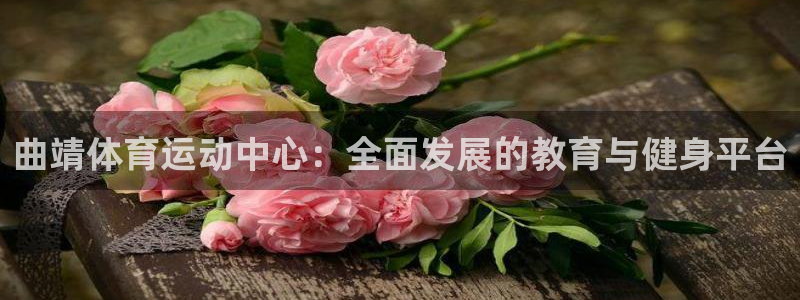 k1体育棋牌网址