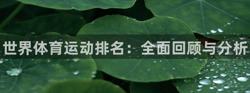 k1体育十年登录入口