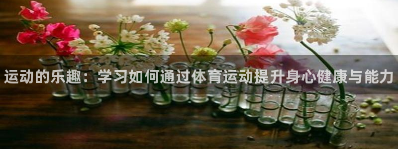 k1体育app