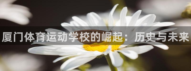 k1体育棋牌网址