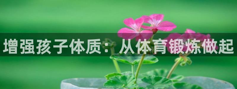 k1体育十年登录入口
