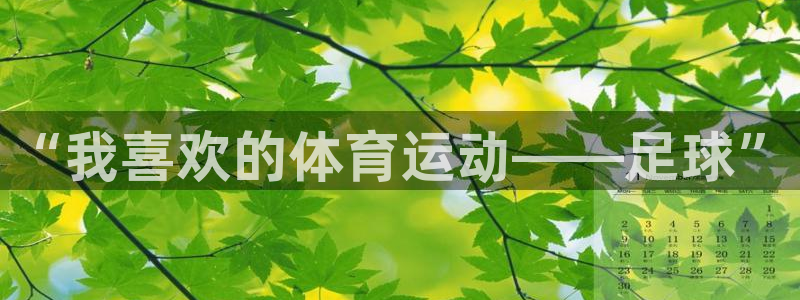k1体育十年登录入口