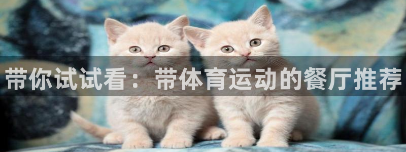 k1体育链接