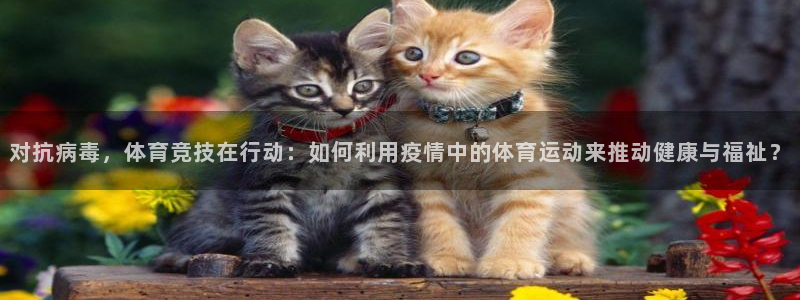 k1体育娱乐