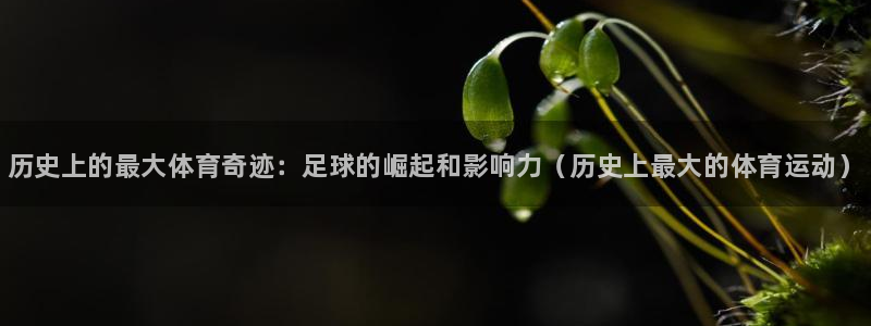 k1体育下载链接