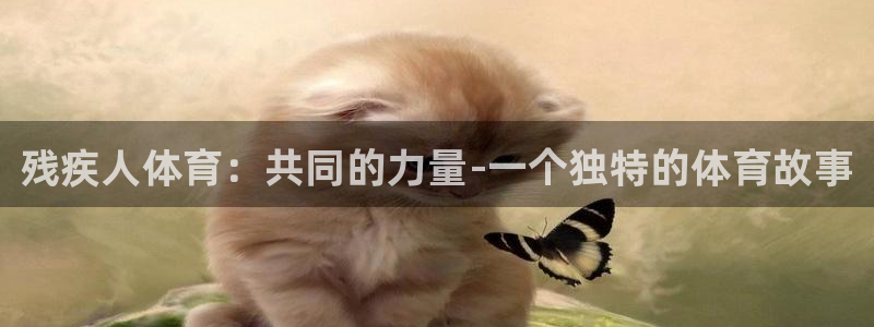 k1体育 十年品牌
