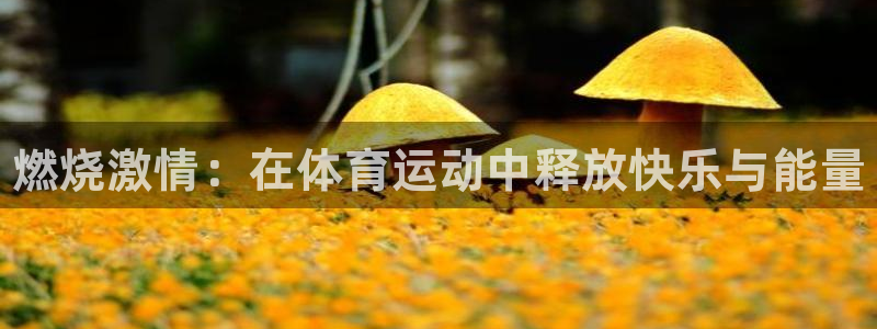k1体育平台下载