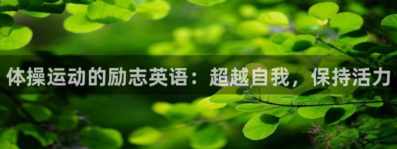 k1体育棋牌网址