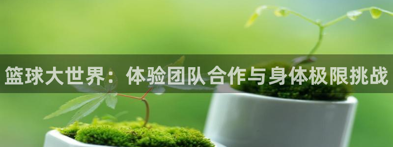 帮k1体育在线登录