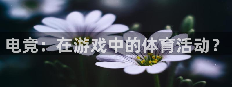 k1体育十年品牌官网