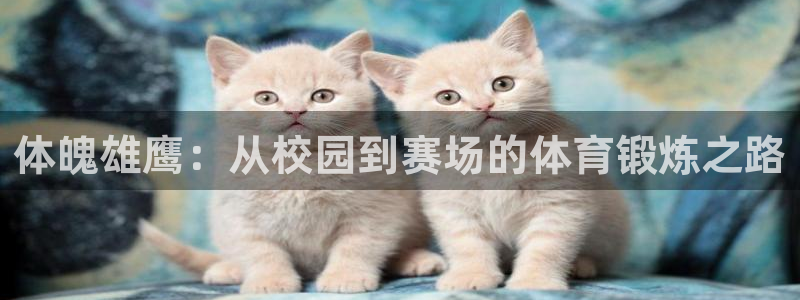 k1体育网址是多少