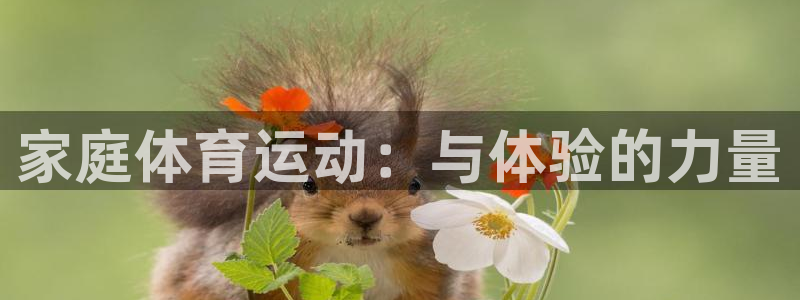 k1体育app下载