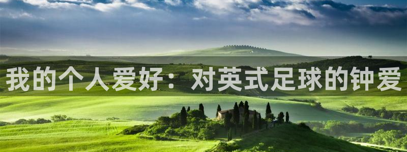 k1体育网站登录官网