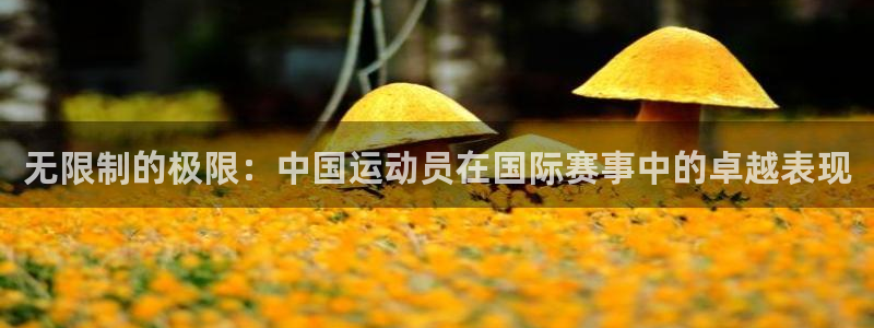 k1体育app下载链接