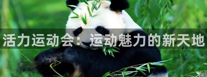 k1体育app下载链接
