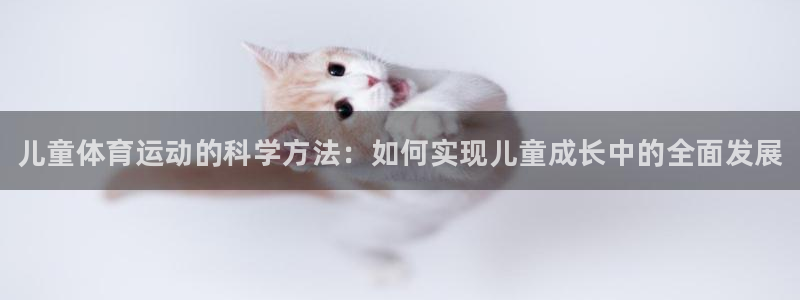 k1体育网站登录官网