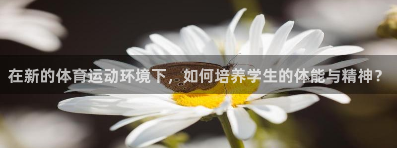 帮k1体育在线登录